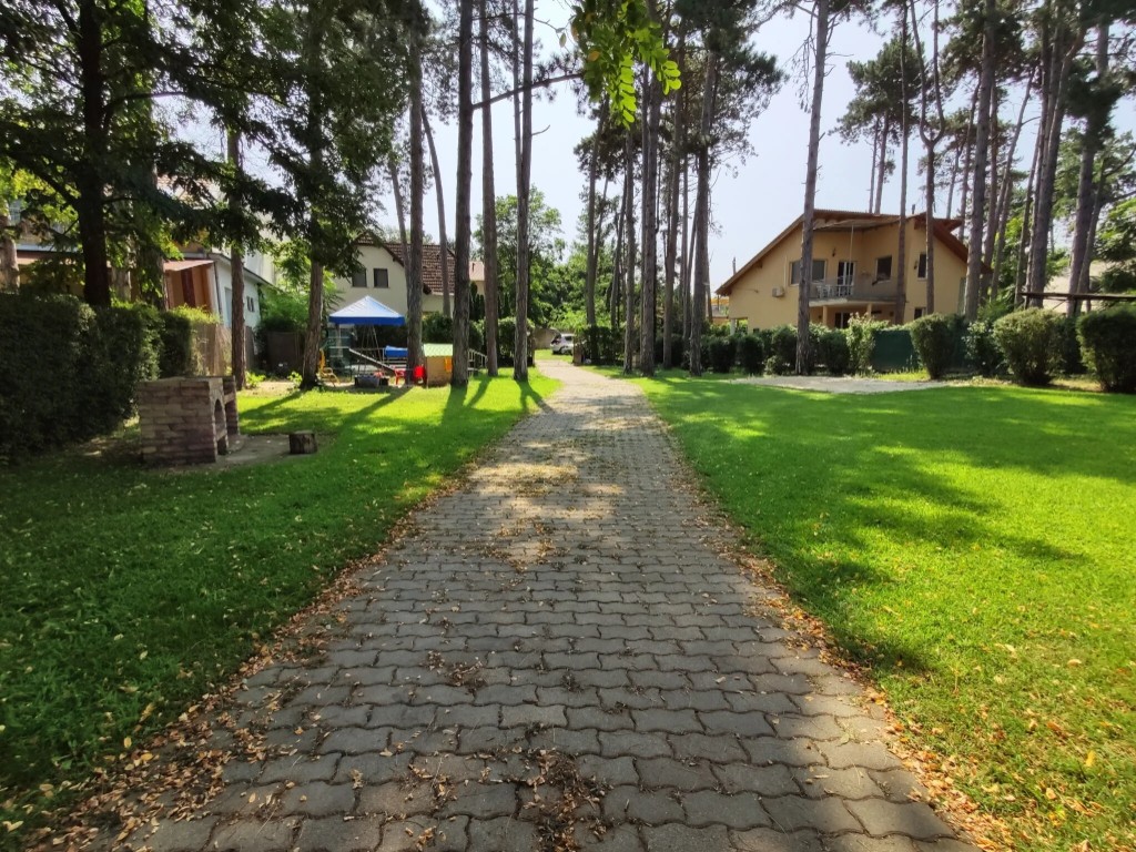 Kert, ösvény és zöld terület